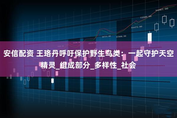 安信配资 王珞丹呼吁保护野生鸟类：一起守护天空精灵_组成部分_多样性_社会
