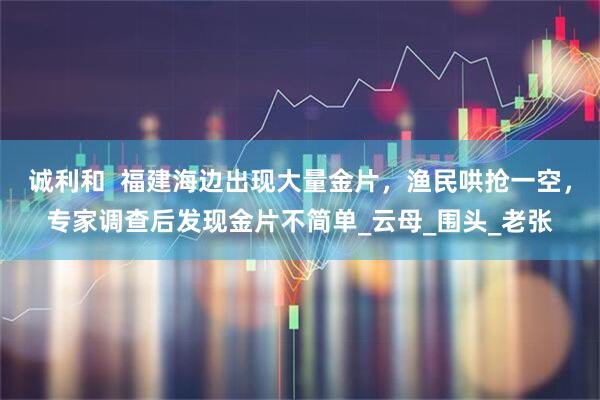 诚利和  福建海边出现大量金片，渔民哄抢一空，专家调查后发现金片不简单_云母_围头_老张