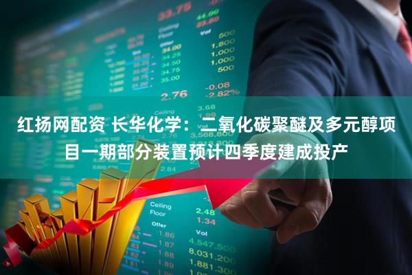 红扬网配资 长华化学：二氧化碳聚醚及多元醇项目一期部分装置预计四季度建成投产