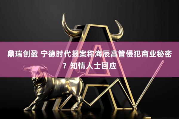 鼎瑞创盈 宁德时代报案称海辰高管侵犯商业秘密？知情人士回应