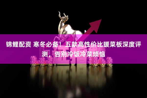 锦鲤配资 寒冬必备！五款高性价比暖菜板深度评测，告别冷饭冷菜烦恼